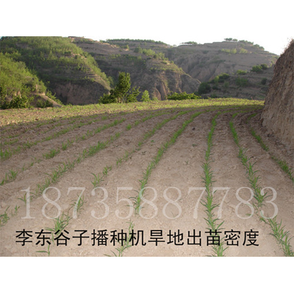 谷子播种机说明书