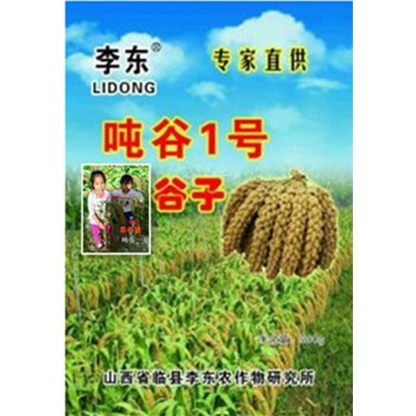 新选吨谷一号